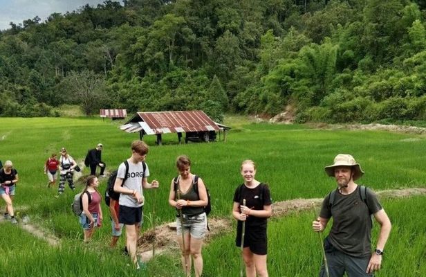 3-Day Chiang Mai Jungle Trek and Bamboo Rafting