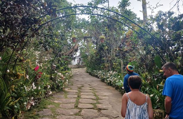Private Bob Marley Nine Mile Tour with Hotel or Cruise Pickup