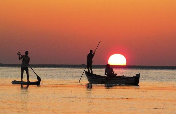Yala Safari and 15 Day Cultural Heritage Tour Package