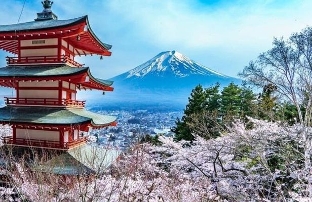 Private Tour In Luxury Vehicle Mt. Fuji and Hakone English Driver