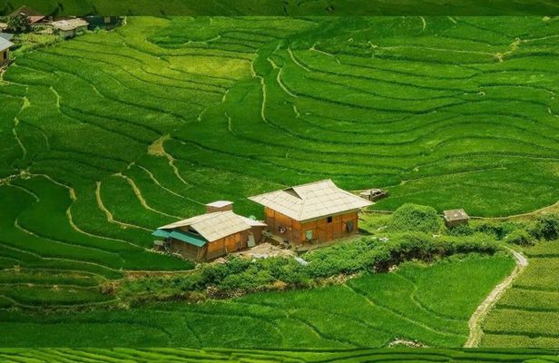 Hanoi: Sa Pa Untamed Matra – Ta Phin Trekking & Bac Ha Market
