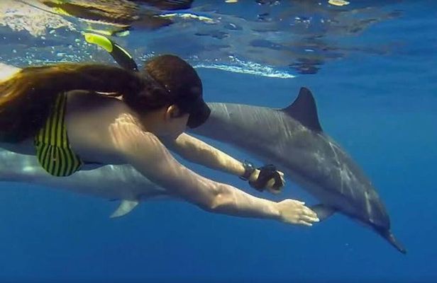 Dolphins Mnemba, Monkey forest & Salaam cave