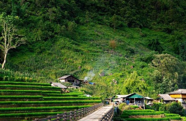 Hanoi: Sa Pa Rice Terrace Trail & Bac Ha Market| Homestay & Hotel