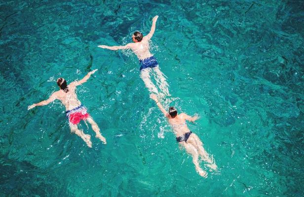 Istanbul Bosphorus Swimming Group Cruise