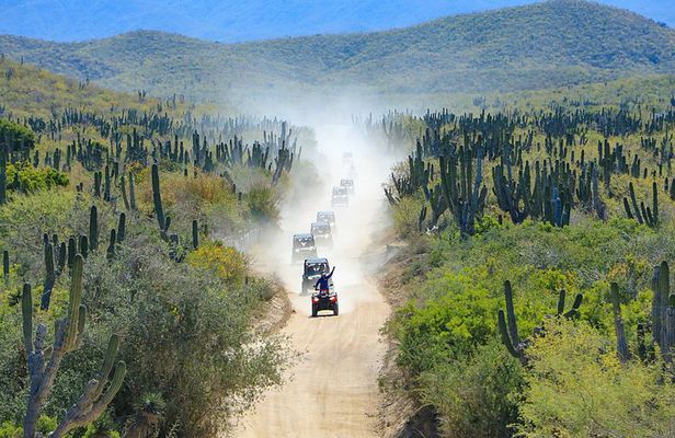 Cabo UTV Off-Road Tour with Mexican Lunch & Tequila Tasting