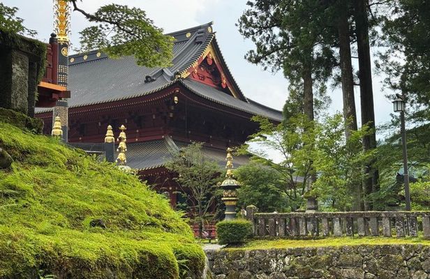 Private Nikko Day Trip from Tokyo UNESCO Sites and Scenic Beauty
