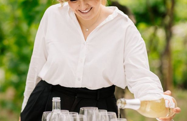 Superior Wine Tasting with Lunch on the slopes of Mt. Vesuvius