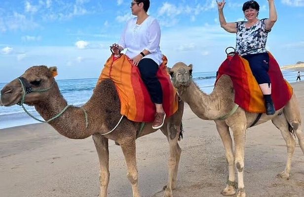 5-Hour Tangier City Tour with Camel Riding