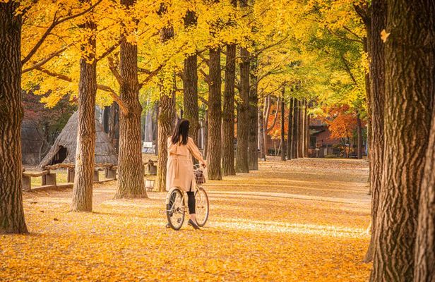 Nami Island Trip with Petite France & Italian Village and Gangchon Rail Bike