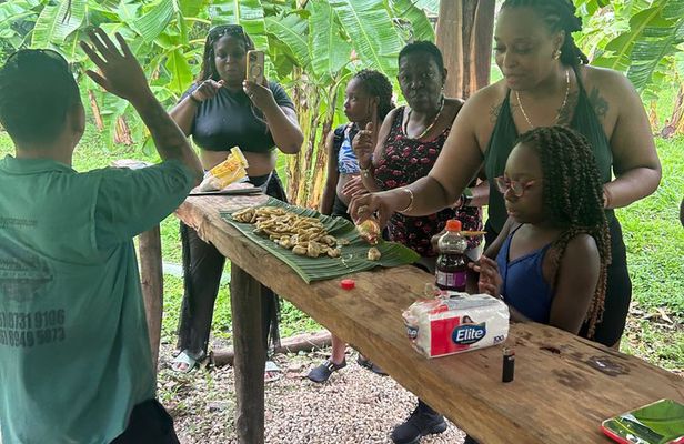 Guanacaste Tropical Farm Tour with Handcrafted Chip Tasting
