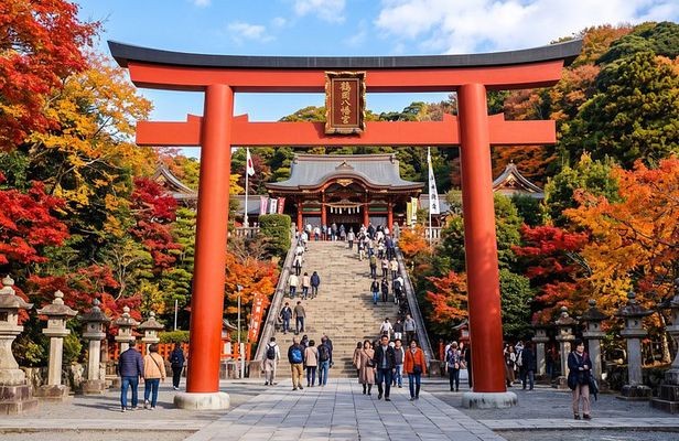 Kamakura Private Walking Tour with Great Buddha & Heritage