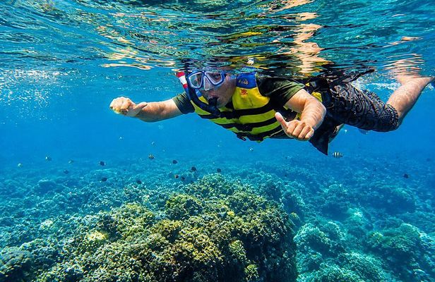 Blue Lagoon Snorkeling and Tirta Gangga Water Palace Experience