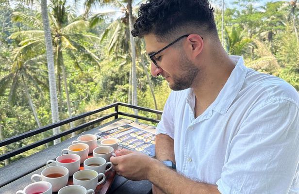 Bali Full Day Customized Private Tours
