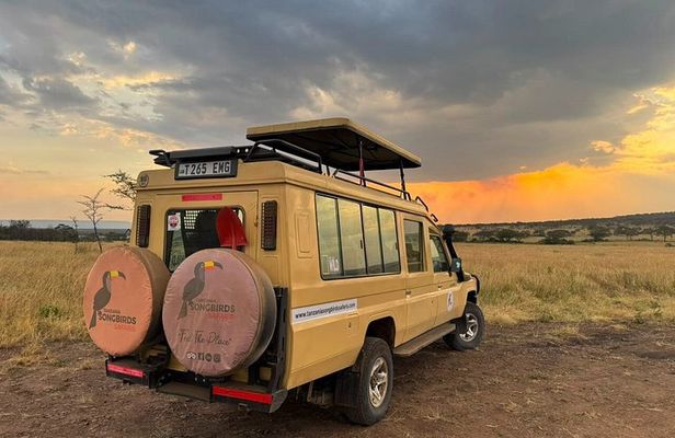 3 Day Classic Safari Tarangire and Manyara and Ngorongoro Crater