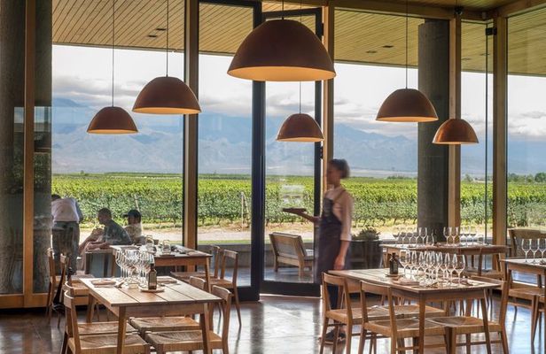 Alfa Crux Winery and Lunch in Piedra Infinita Zuccardi
