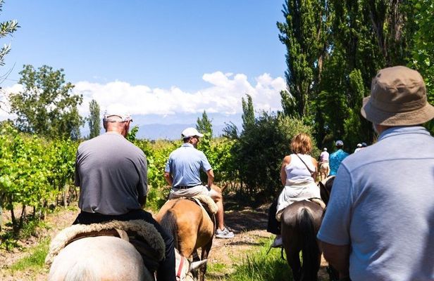 Horseback Riding in Mendoza through the vineyards and river with optional Asado.