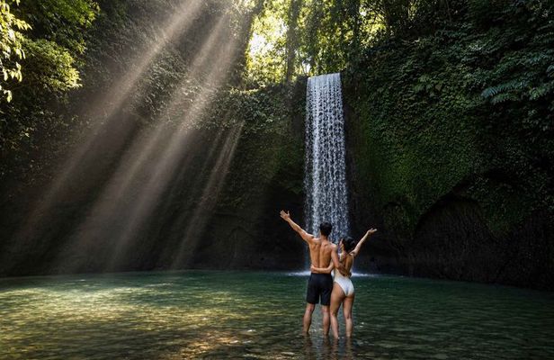 Ubud Top Waterfalls and Rice Terrace Day Tour