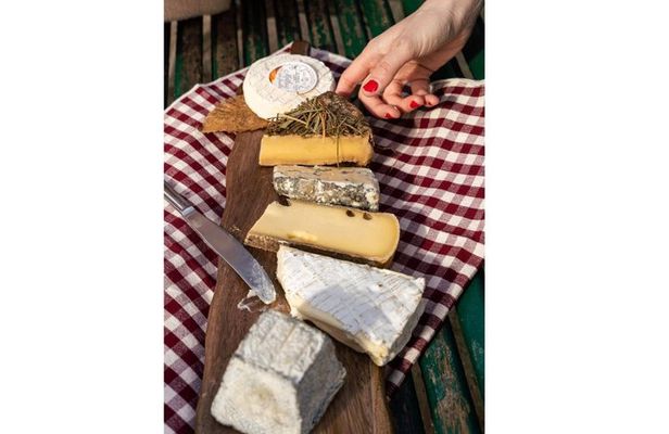 Paris Cheese Tasting Walk Notre-Dame: 10 cheeses