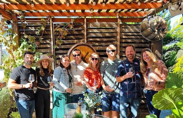 Wine Tasting Tour ONLY for Cruise Ship Visitors. ALL INCLUSIVE!