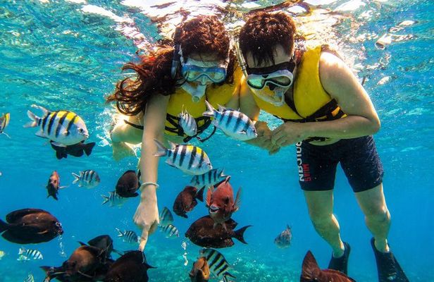 Lovina Family Adventure Dolphins, Sunrise and Snorkeling