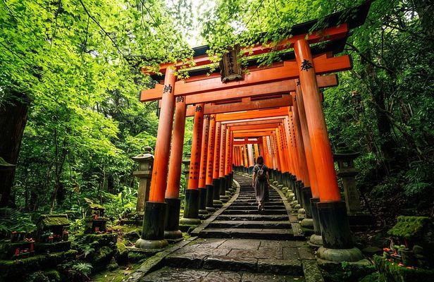 Tokyo: Nezu Shrine & Yanaka Old Town Walking Tour