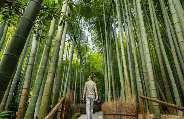 Private Day Trip from Tokyo to Kamakura and Enoshima Island