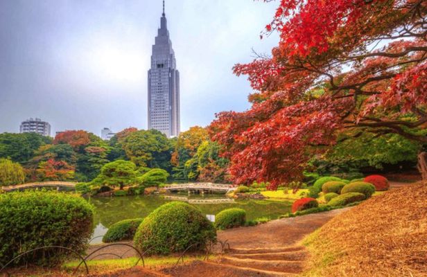 Tokyo Shinjuku Guided Walking Tour with Gyoen Garden Ticket
