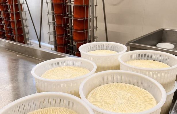 Cheese Factory Tour Wine Pairing