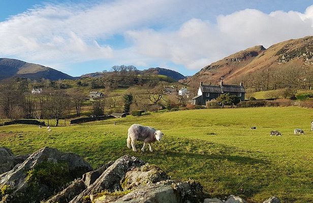 Rail & Road Tour of the Lake District from Glasgow