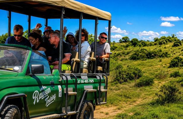 2 Day Schotia Safari Tour in Port Elizabeth