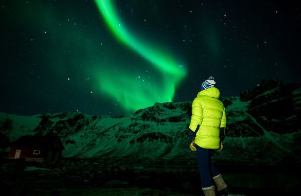 Tromsø: Northern Lights Minibus Chase with Photo Guide