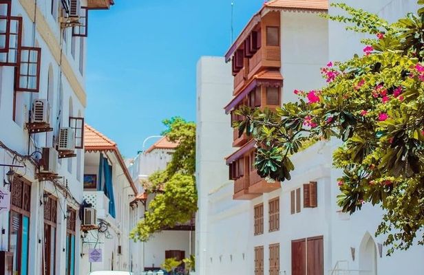 Full-Day Zanzibar Jozani Forest, Spice Farm and Stonetown Tour