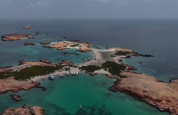 Dimaniyat Islands Turtle and Marine Life Snorkeling Adventure