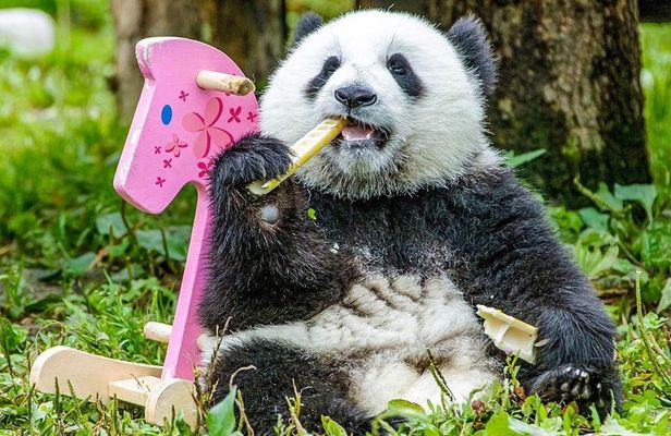 15-Day Beijing-Xi'an-Guilin-Chengdu-Chongqing-Yangtze-Shanghai