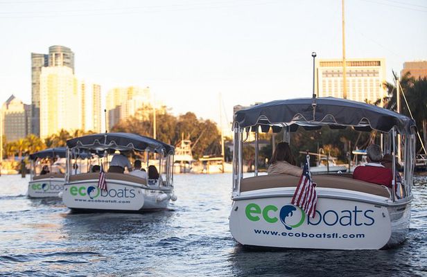 Private Eco-Friendly Cruise: Fort Lauderdale Mansions & Yachts