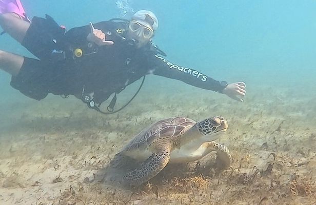 Scuba Diving No Experience Needed Videos Included