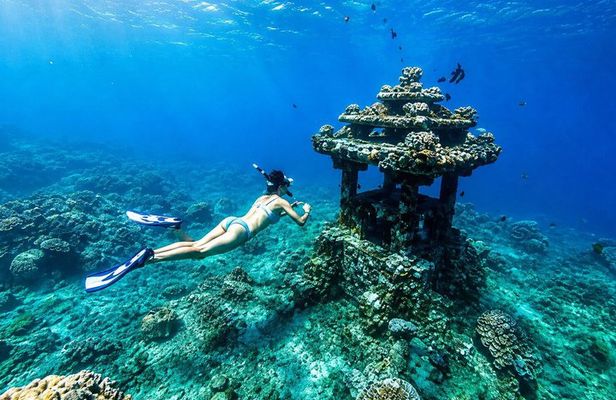 Bali Amed 4 Spot Snorkeling: Turtle Point and Under Water Temple