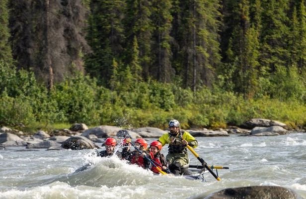 Half Day Raft at the Boreal in Nenana River