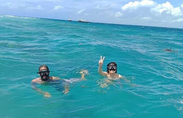 Mnemba Island Snorkeling and Dolphins Tour