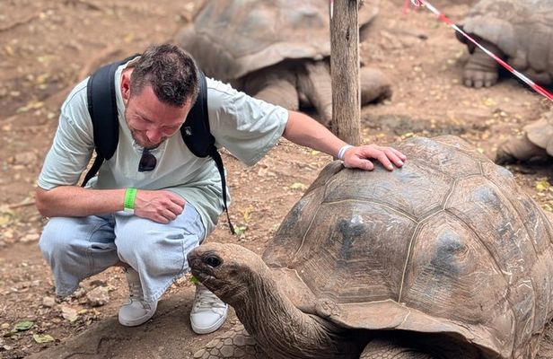 Stone Town & Prison Island Tour with Giant Tortoises