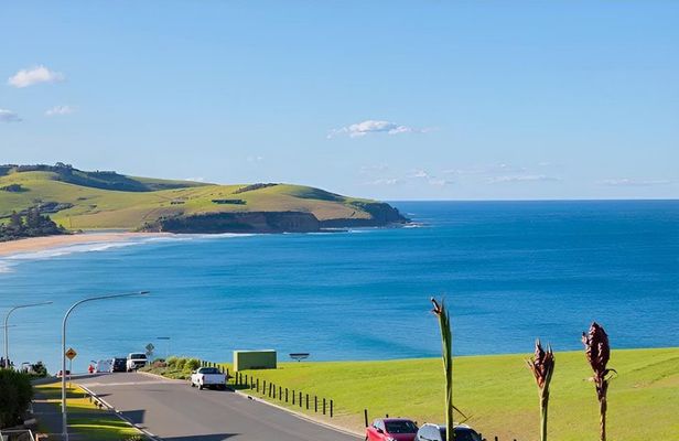 Sydney South Coast Day Tour Wildlife, Kiama Blowhole, Gerringong