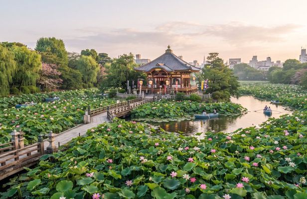 Tokyo: Ueno Park, Toshogu Shrine & Ameyoko Food Walk