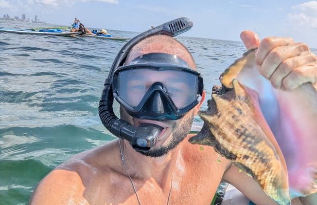 Paddle Out, Sandbar and Snorkel Adventure in Key Biscayne