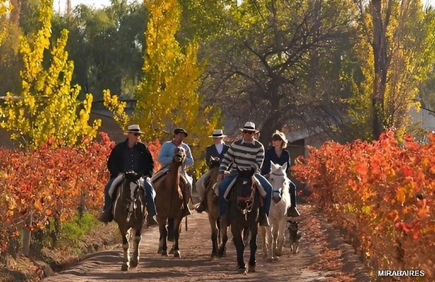 Horseback vineyards Riding, Culinary Experience at Bodega Bandini