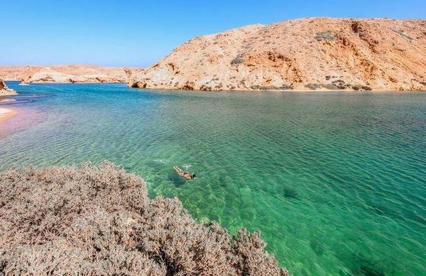 3-Hour Private Dolphin Watching & Snorkeling Tour in Muscat