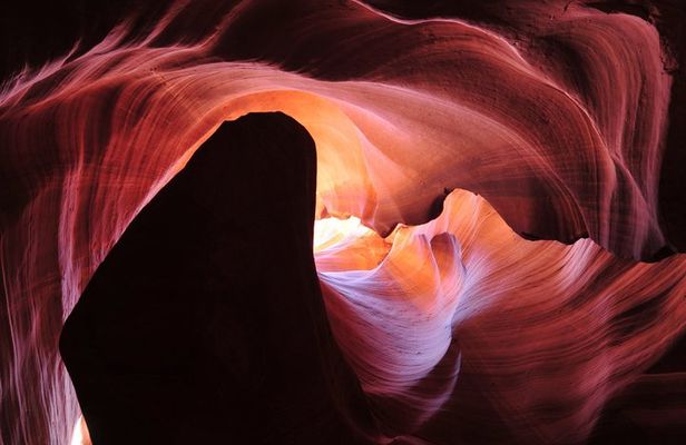 Upper Antelope Owl and Rattlesnake Canyons Tour