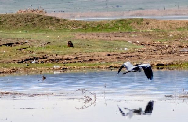From Tbilisi: Rainbow Mountains & Lakes 4x4 Wildlife Tour