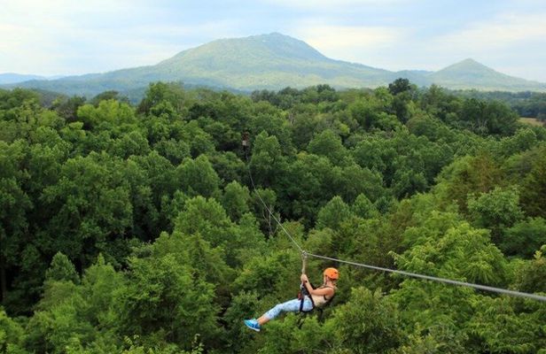 2 Mile Family Zipline Adventure Near Pigeon Forge and Gatlinburg