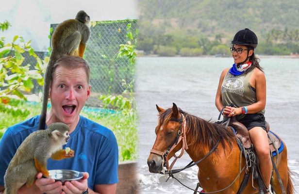 2x1: Horseback Riding Plus monkeyLand Amber cove Taino Bay