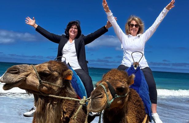 Tangier Private 4-Hour Tour with Camel Ride Experience